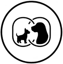 Two moments one portrait icon